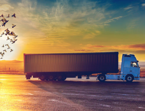 Digital Pricing Models for Road Freight